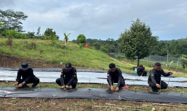 Kalapas Bersama Jajaran Laksanakan Pemupukan 124 Pohon Mangga dan Penanaman Cabai di Kebun Lapas Khusus Karanganyar Nusakambangan